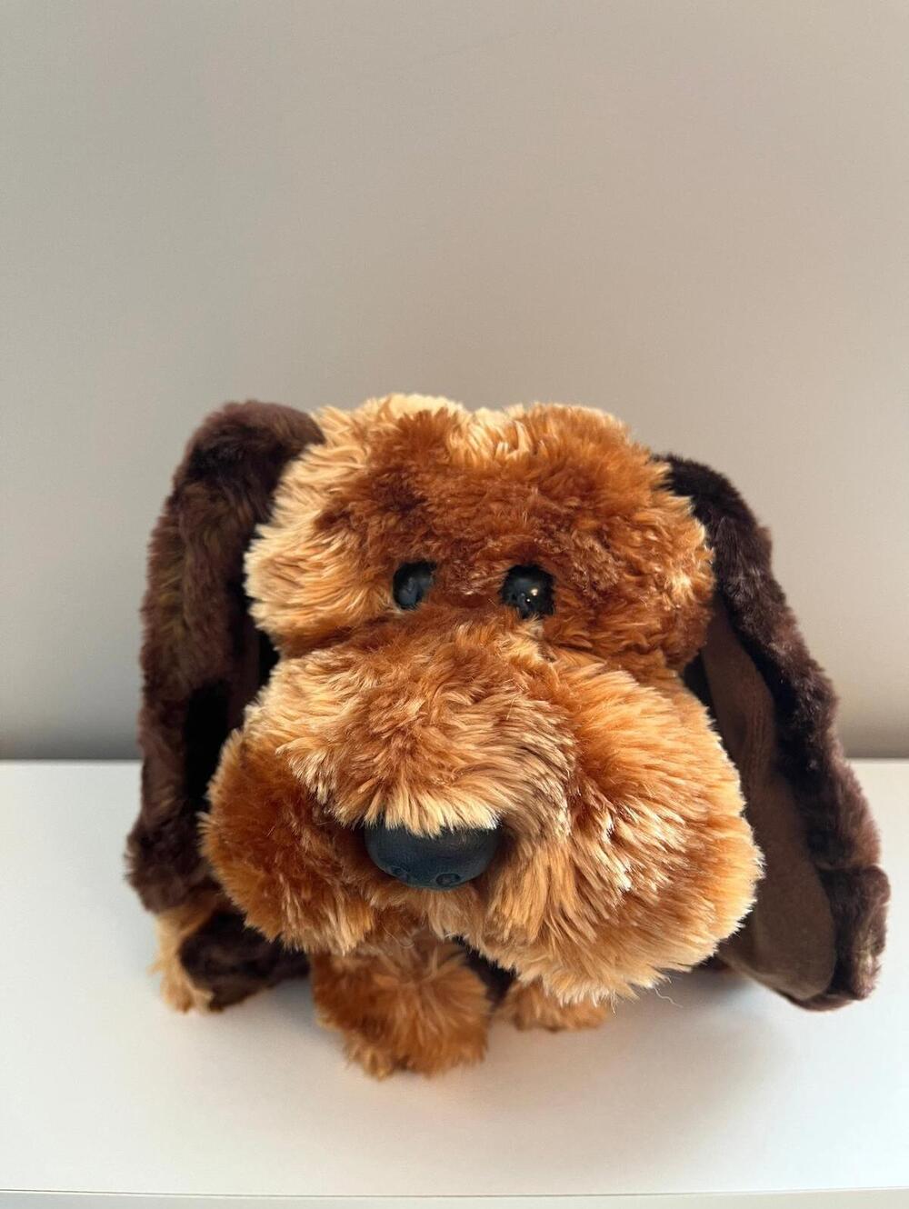 Ty Classics Collection “Memphis” the Adorable Puppy Dog (15 inch)